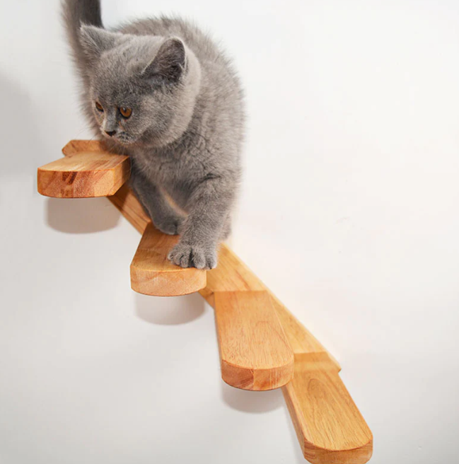 How to Get a Cat out of a Tree Mastering Cat Tree Dilemmas