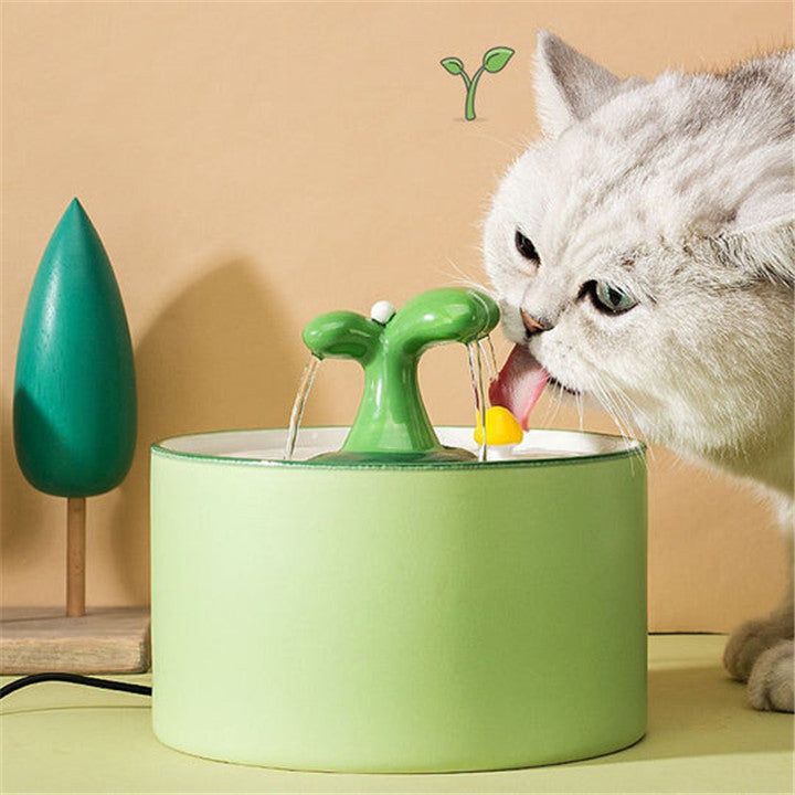 How to Prevent Slime in Pet Water Fountain