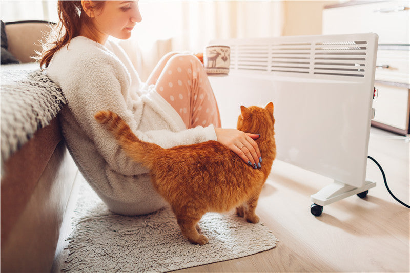 Cats in Heat
