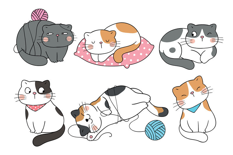 Famous Anime Cat Names For Your Kitten