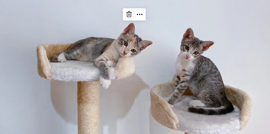 Is a DIY Cat Tree Worth It or Should I Buy One Happy Polly