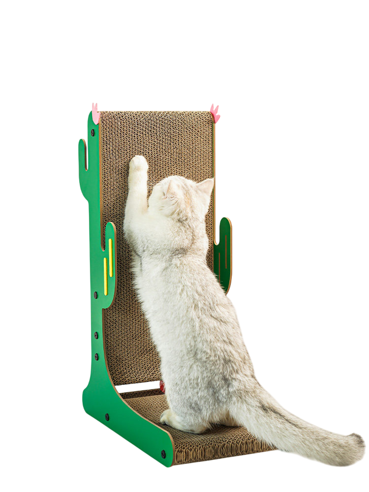 Desert Bloom Cactus Scratcher – Happy & Polly