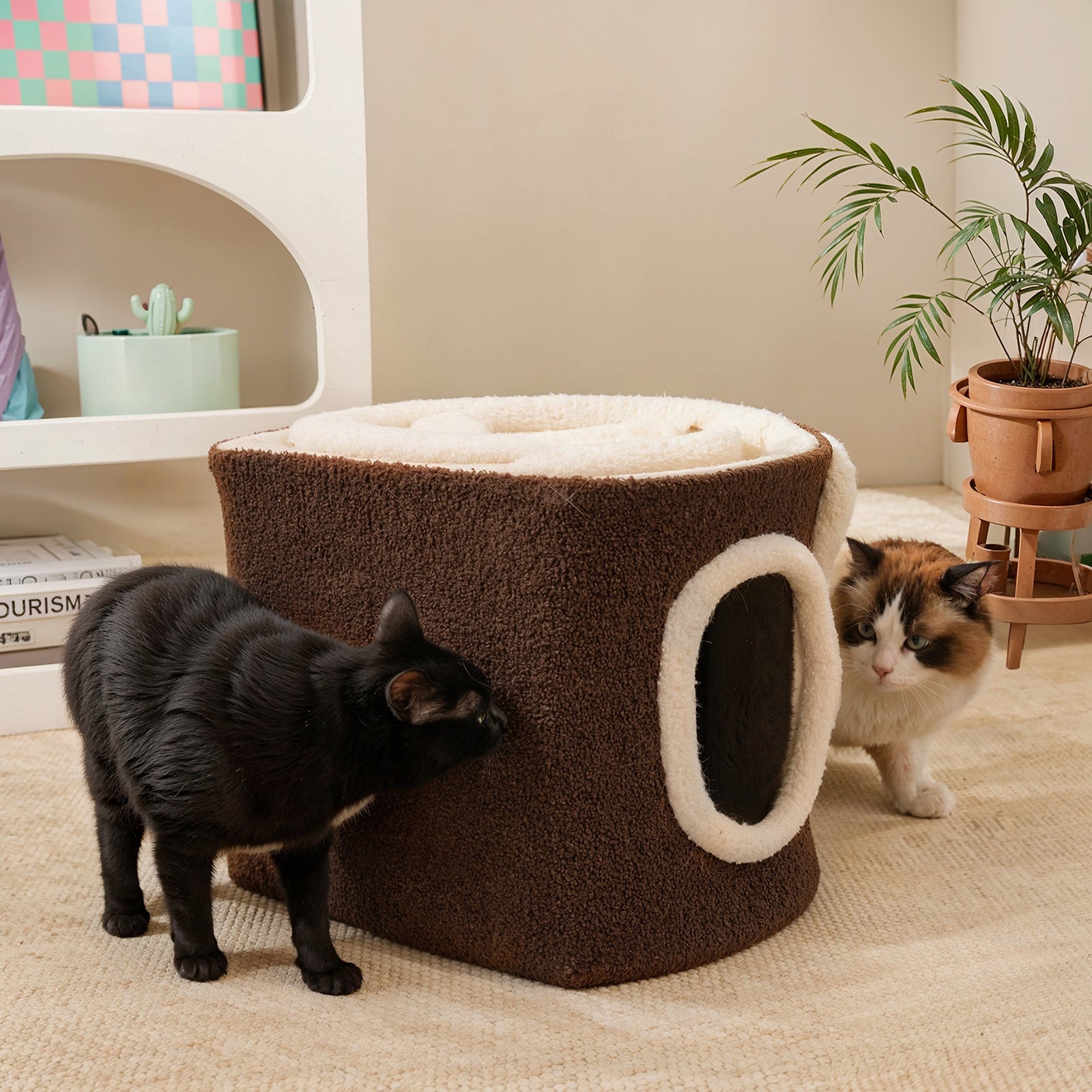 Choco Swiss Roll Cat Cave