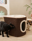 Choco Swiss Roll Cat Cave