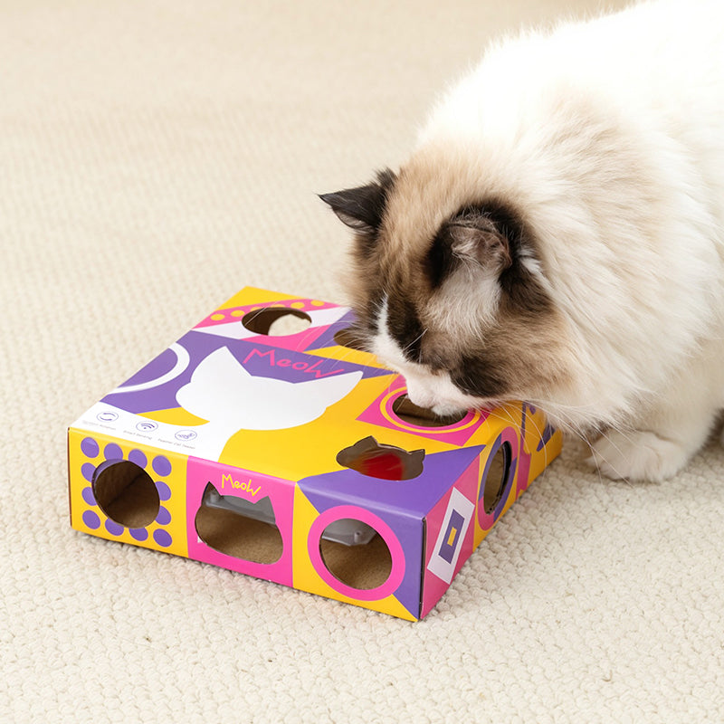 Smart Cat Teaser Box