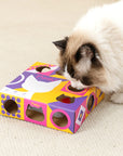 Smart Cat Teaser Box