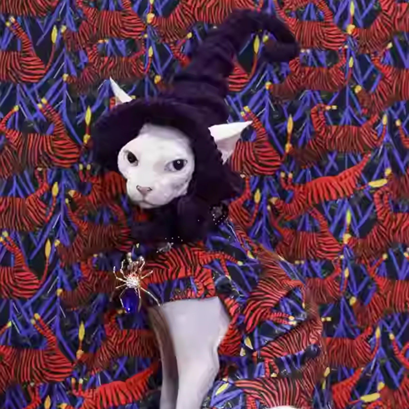 Magic Academy Cat Hat