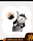 Bat Wing Cape with Hood for Cats