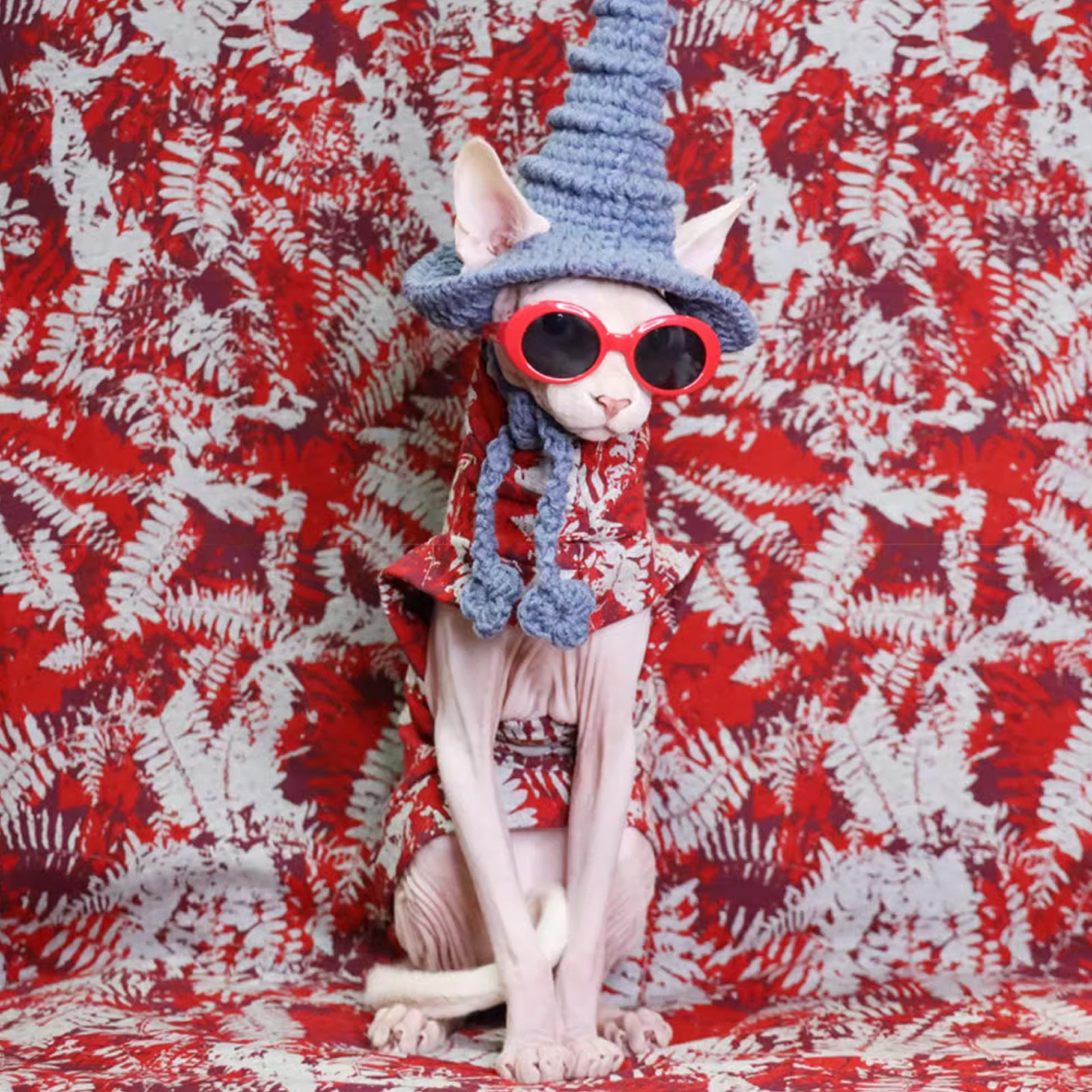 Magic Academy Cat Hat