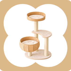 Sleeping in the Bowl Cat Tree
