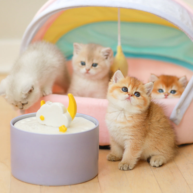 Purple Moonlight Series Set