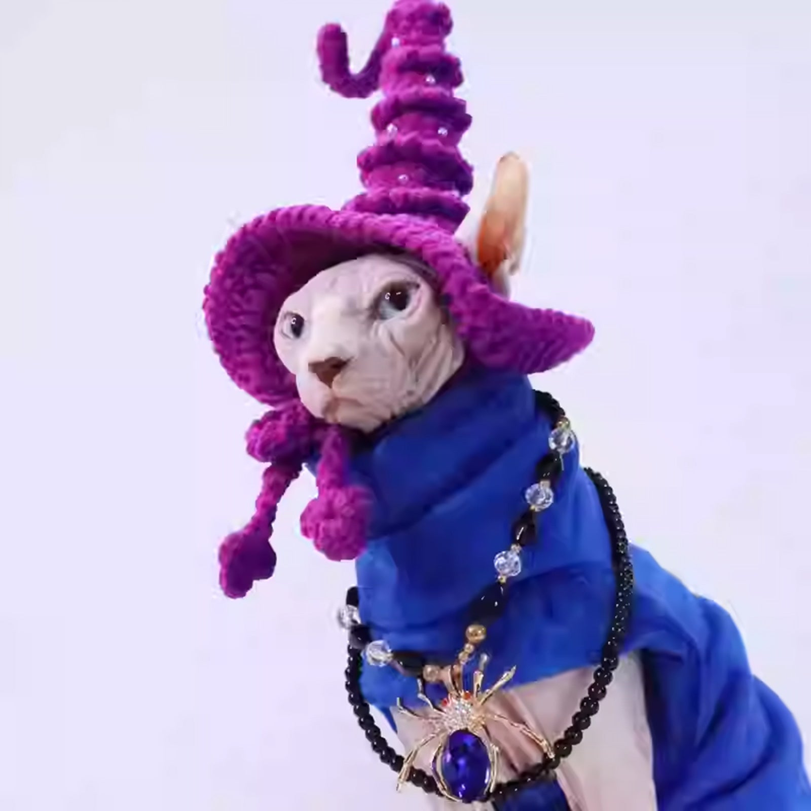 Magic Academy Cat Hat