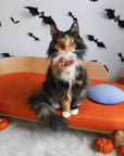 35.9'' Wooden Sunset Cat Couch for Multiple Cats - Stylish Lounge & Play