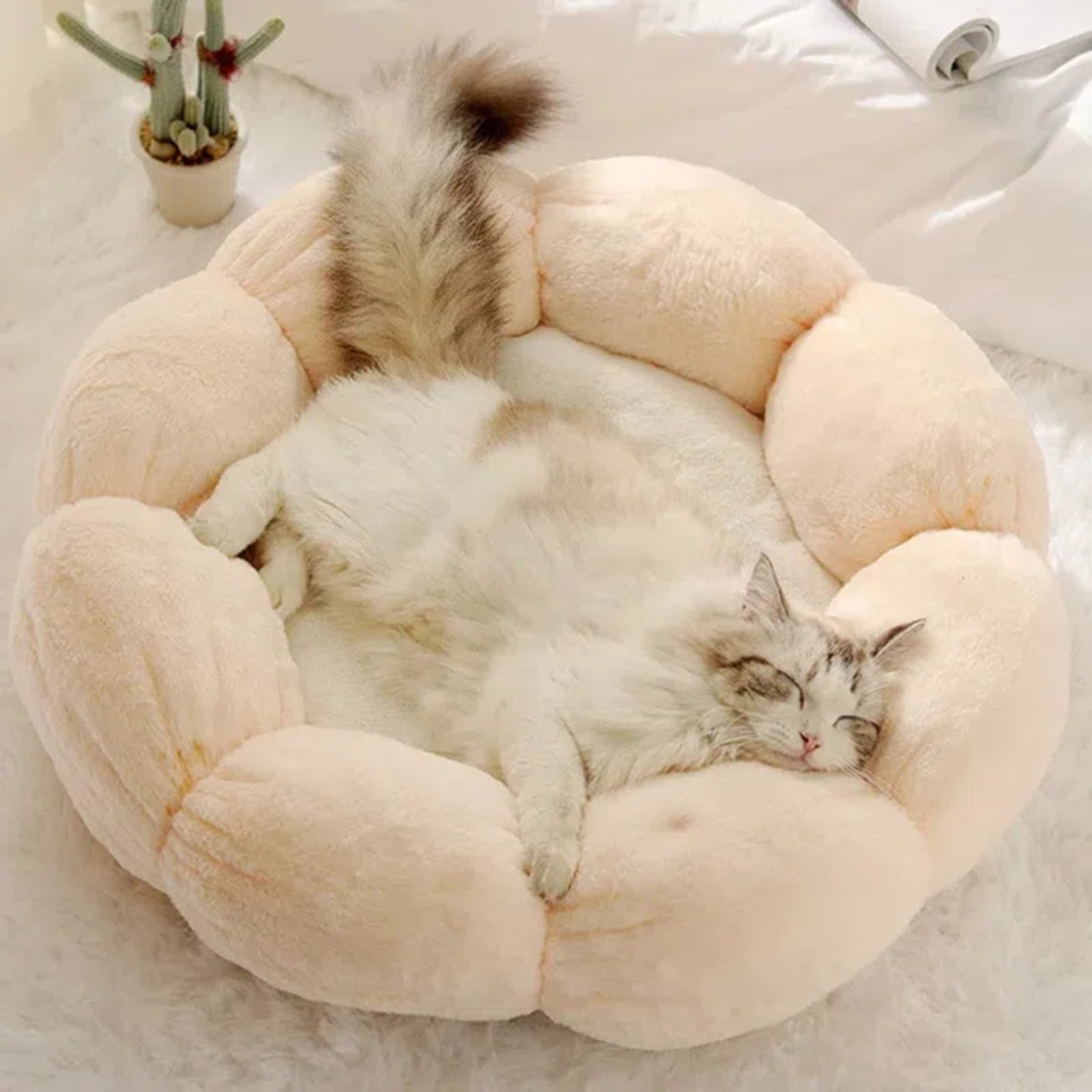 Flower Shaped Cat Bed