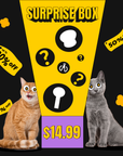 Pawsitive Surprise Box
