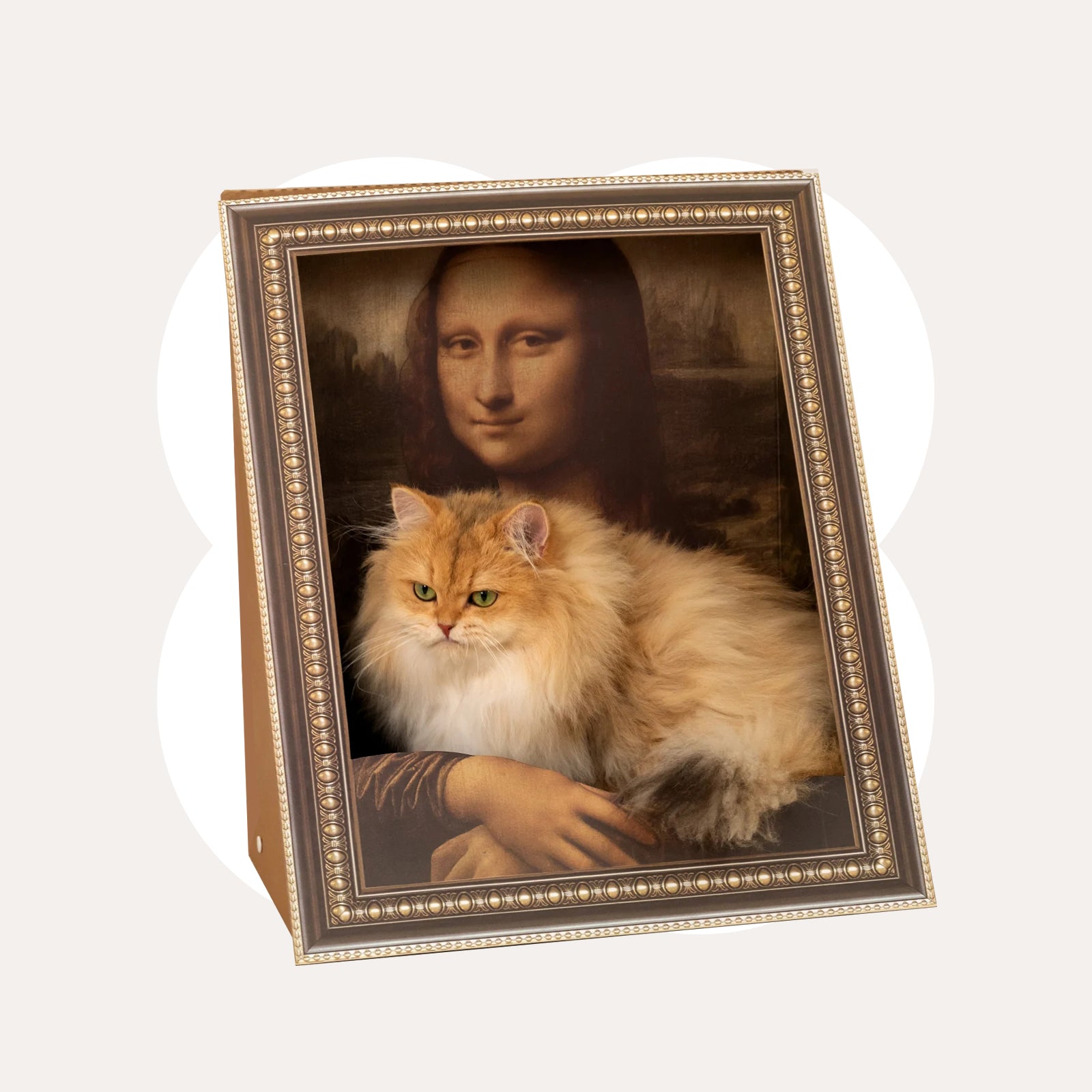3D Retro Art Cat Scratcher