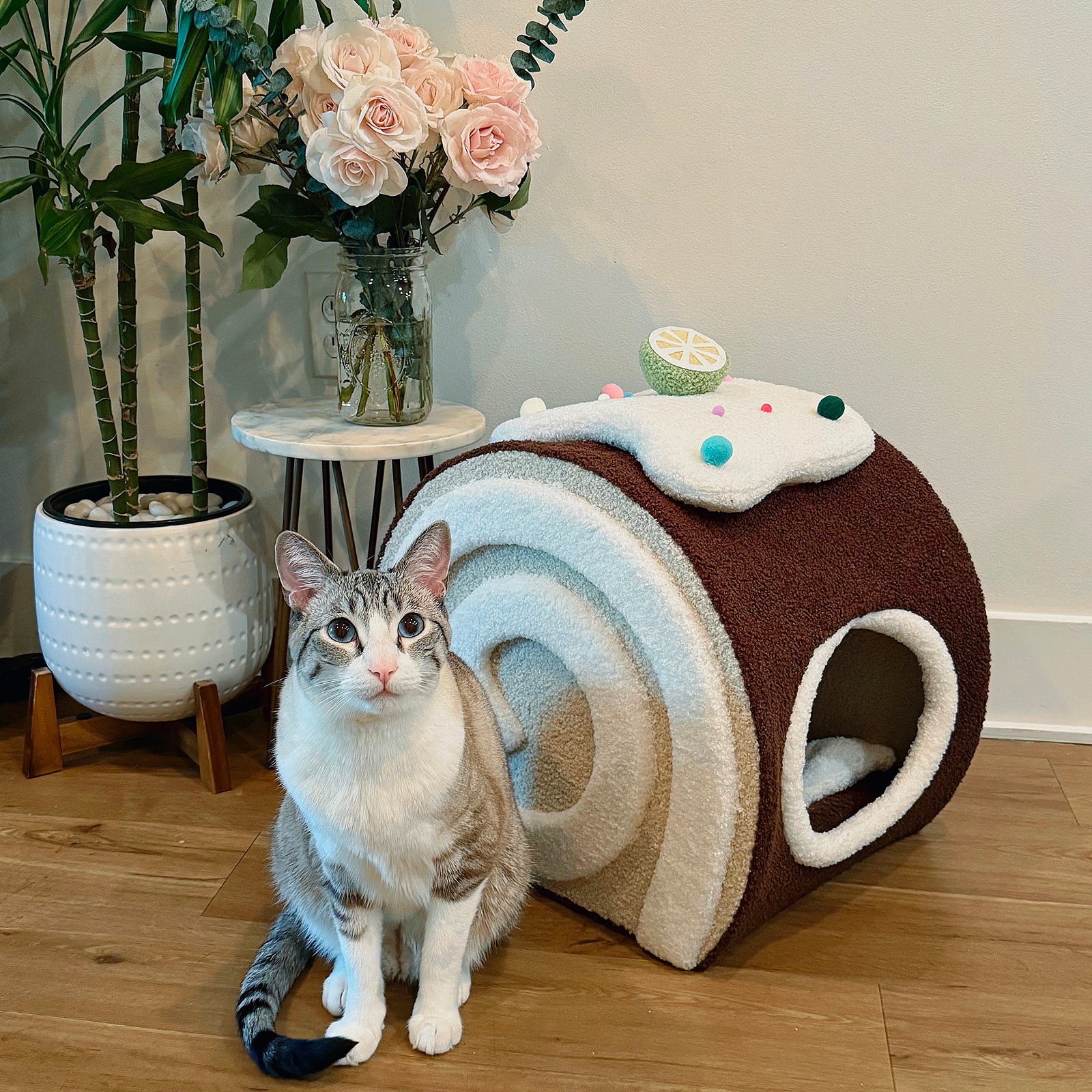 Choco Swiss Roll Cat Cave