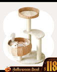 Sleeping in the Bowl Cat Tree