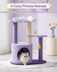 Moonlight Cottage Cat Tree cozy private retreat