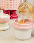 42oz Donut Style Cat Water Fountain