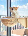 Cat Window Perch Suction Cup Hammock