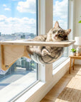 Cat Window Perch Suction Cup Hammock