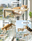 Cat Window Perch Suction Cup Hammock