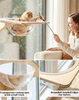 Cat Window Perch Suction Cup Hammock