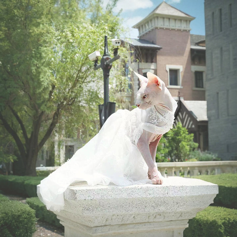 Luxurious Cat Wedding Gown with Train and Veil