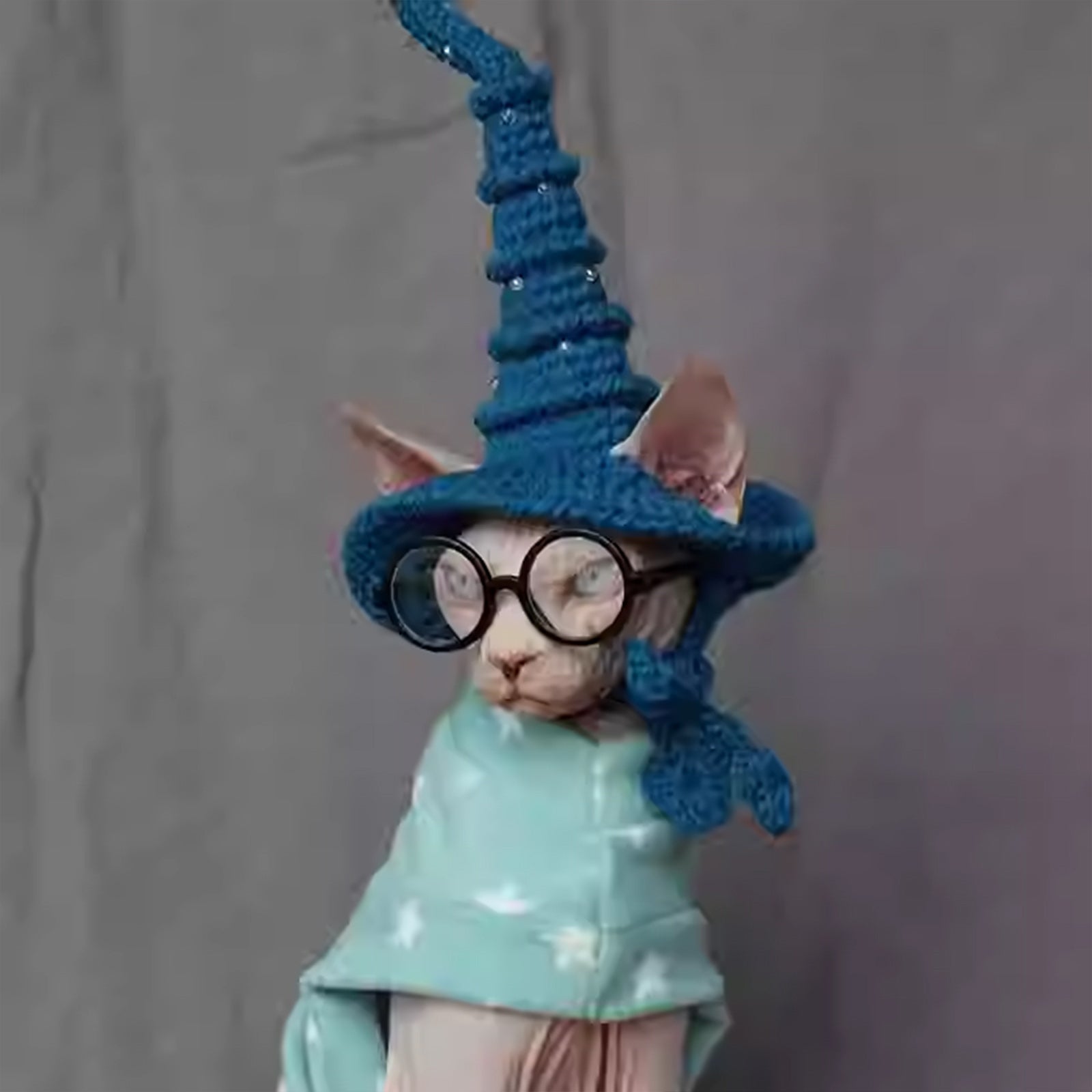 Magic Academy Cat Hat