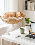 Woven Nest Desk Cat Bed