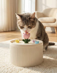 42oz Tulip Garden Cat Water Fountain