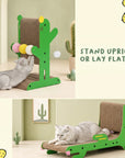 Desert Bloom Cactus Scratcher