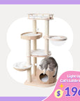 Whispering Hollow Cat Tree