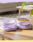 20oz Portable Double Cat Bowl
