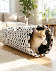 Elves in the Checkerboard Cat Tunnel