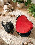 Flying Heart Cat Scratcher