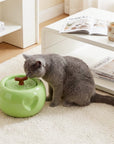 50oz Love Apple Cat Water Fountain