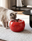 50oz Love Apple Cat Water Fountain
