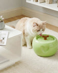 50oz Love Apple Cat Water Fountain