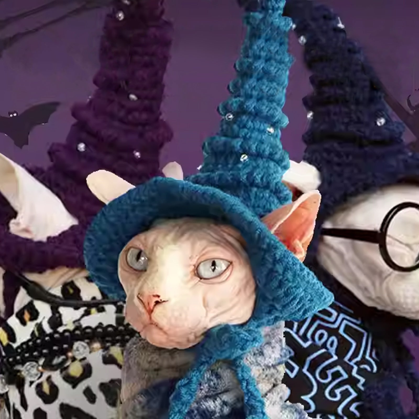 Magic Academy Cat Hat