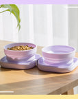 20oz Portable Double Cat Bowl