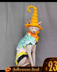 Magic Academy Cat Hat