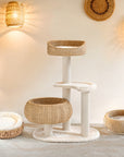 Primary Woven Series Set