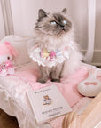 Bow Lace Saliva Towel Cat Bib