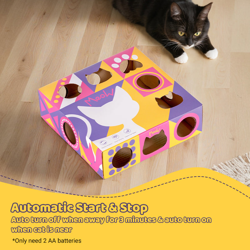 Smart Cat Teaser Box