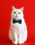 Christmas Plaid Cat Collar-Adjustable Anti-Choking Elegance