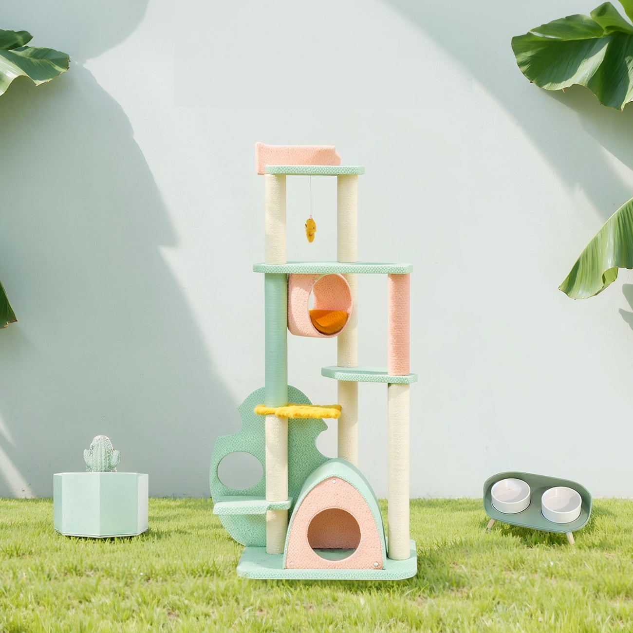 Tropical Series Set