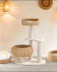 Primary Woven Series Set