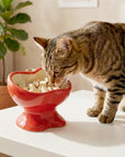 9oz Apple Bliss Elevated Cat Bowl